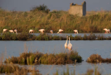 agriturismocomacchio it territorio-valle-isola 001